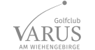 Varus Golf logo